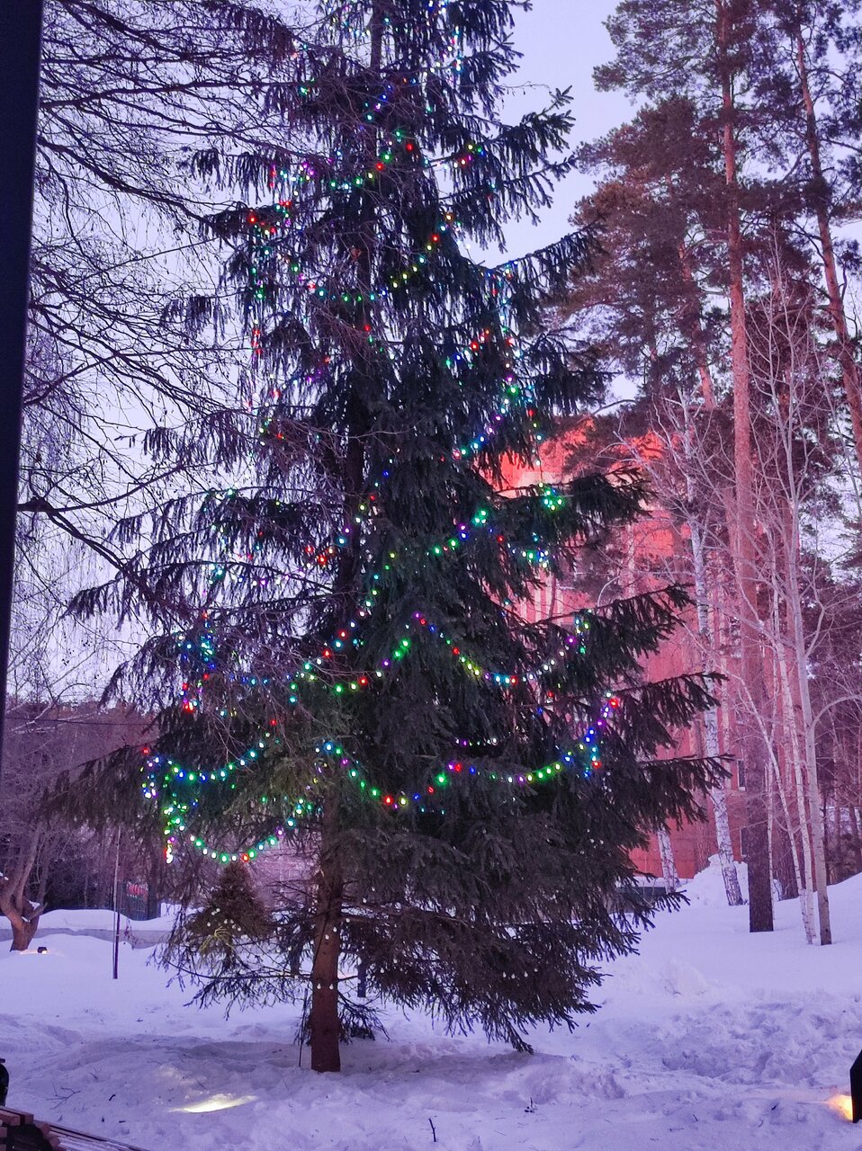 Гостевой дом 4 Апельсина Чебаркуль-32